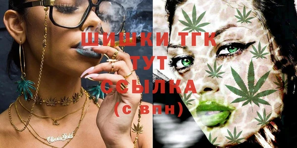 экстази Гусев