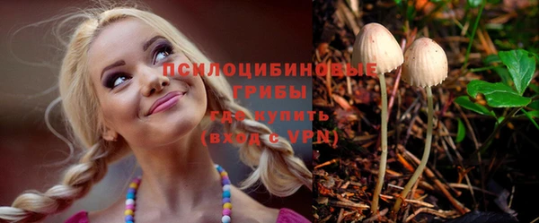 экстази Гусев